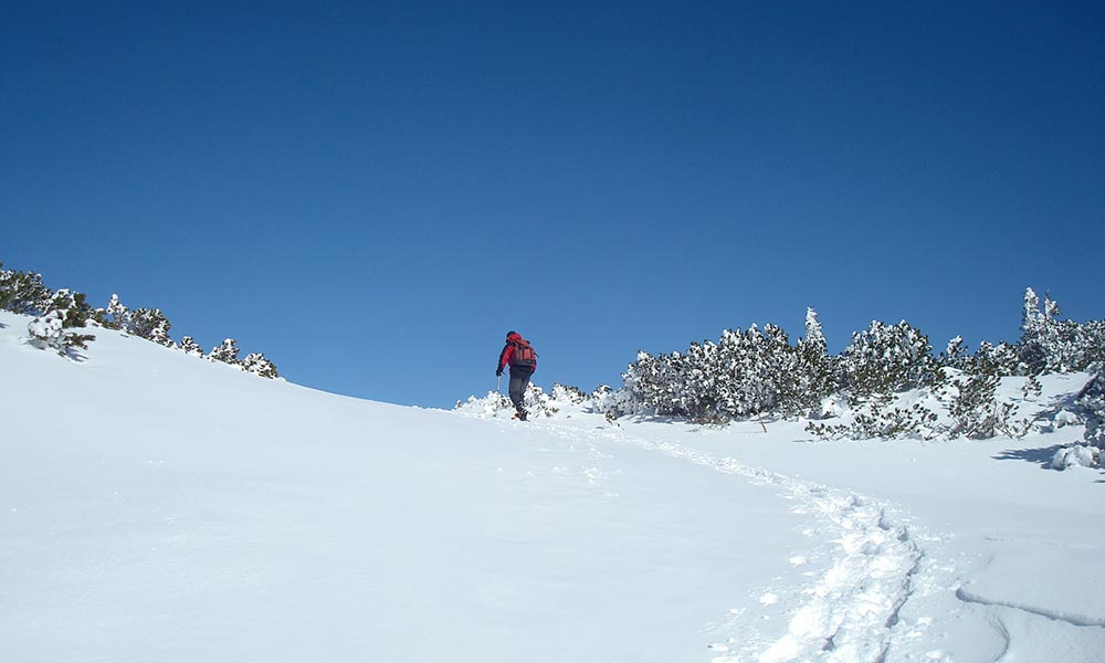 gruenschacher